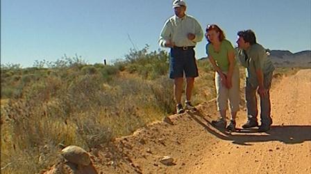 Video thumbnail: Wild Nevada Episode 301: Gold Butte