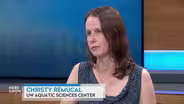 Christy Remucal on Finding PFAS Contamination in Water Foams