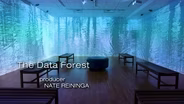 The Data Forest