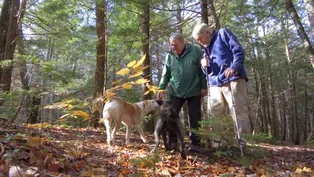 Hiking With Tom Ryan (Preview)