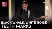 Black Whale, White Sound by Teeth Marks | Broad & High Presents