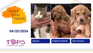 04/25/2024 | Edgar, Purple Potato and Red Dahlia  | Mark's Furry Friends