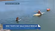 Dramatic Bald Eagle Rescue in Waukegan Harbor