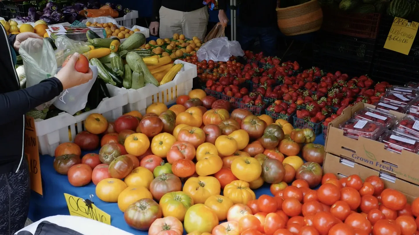 Bay Area Bountiful: Farmers Markets