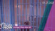 Clean Slate Bill Being Considered in New York