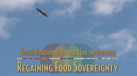 Video thumbnail: Documentaries & Specials Regaining Food Sovereignty