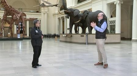 Video thumbnail: Stay Home. Hit Play. Mayor Lightfoot Goes to the Chicago Field Museum
