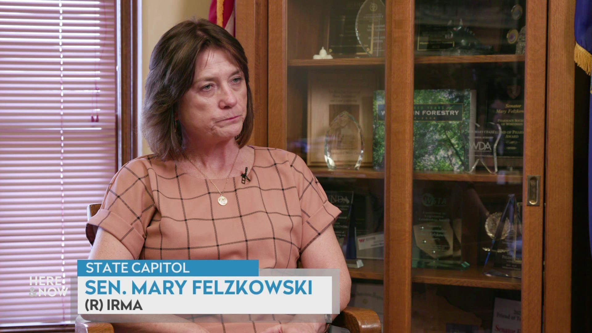 Sen. Mary Felzkowski on PFAS in Stella’s drinking water