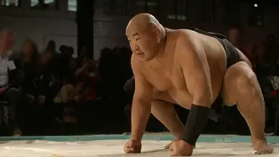 How Do Sumo Wrestlers Avoid Obesity-Related Diseases?