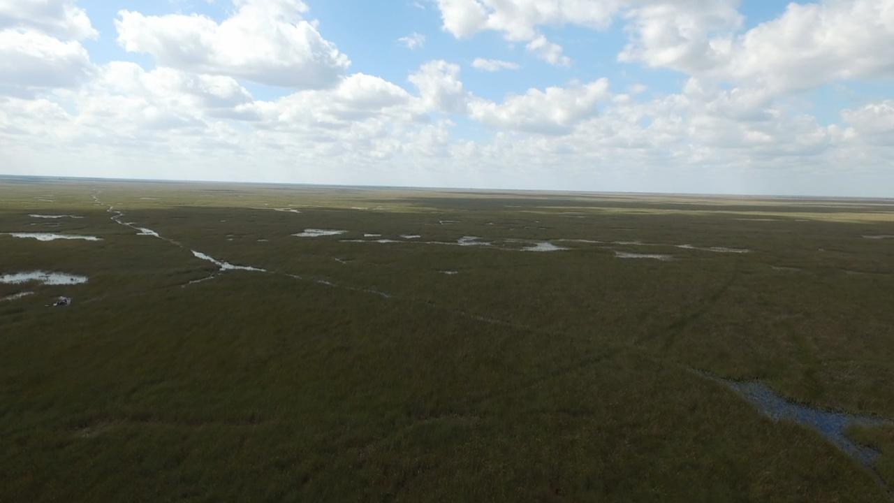 Battleground Everglades | Survival at Stake