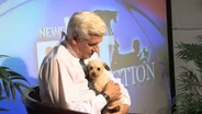 Pet Connection | Preview