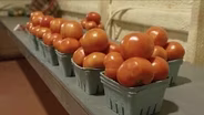 Alabama Tomatoes