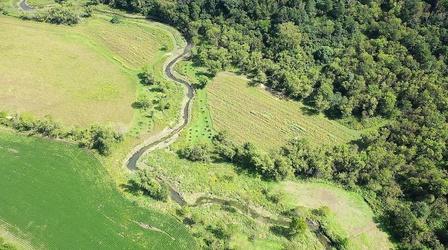 Video thumbnail: Prairie Sportsman Fishing a Spring-Fed Stream