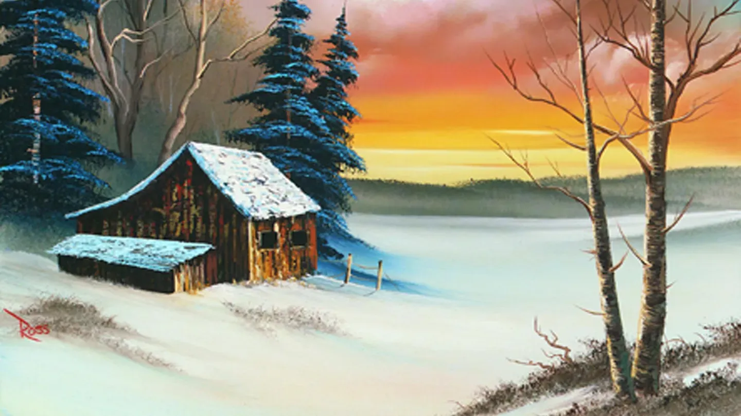 Wintertime Discovery
