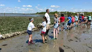 Hudson’s Seafood House and Oyster recycling