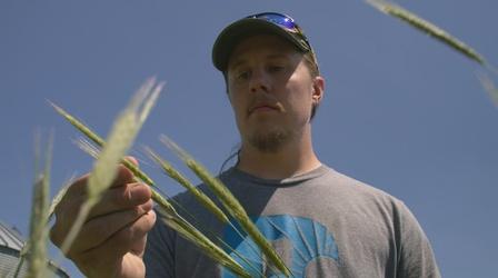 Video thumbnail: PBS NewsHour Can sustainable farming save Iowa's precious soil and water?