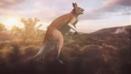 How Ancient Art Captured Australian Megafauna