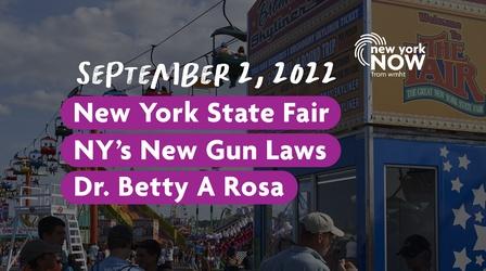 Video thumbnail: New York NOW A Trip to the State Fair, NY's New Gun Laws