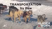 Transportation by Paw
