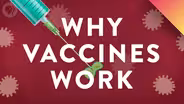 Why Vaccines Work