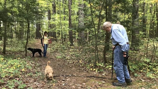Forest Therapy With Dogs (Preview)