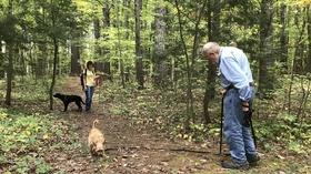 Video thumbnail: Windows to the Wild Forest Therapy With Dogs (Preview)
