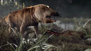Preview of "When Whales Walked"