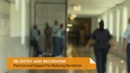 Programs Aim to Reduce Recidivism in Illinois