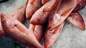 Video thumbnail: PBS NewsHour Is the government shutdown making American food unsafe?