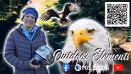 Installing an Eagle Cam