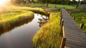 Video thumbnail: UNC-TV Science Three reasons to value salt marshes