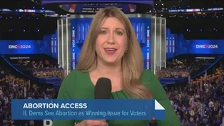 Illinois Democrats Tout Efforts to Protect Abortion Rights