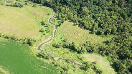 Video thumbnail: Prairie Sportsman Fishing a Spring-Fed Stream