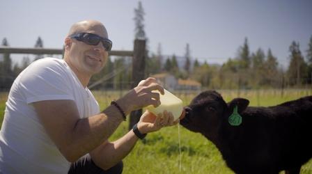 Video thumbnail: All Across Oregon Gems of Williams, Oregon