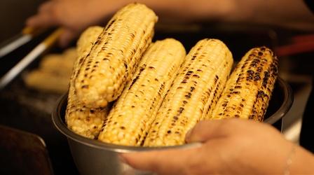 Video thumbnail: Hungry Planet Feeding the Future: Saving Corn From Rising Temperatures