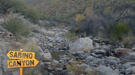 Video thumbnail: Trail Mix'd Welcome to Bike Country