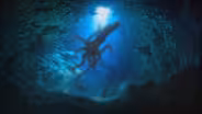 Where Are All The Squid Fossils?