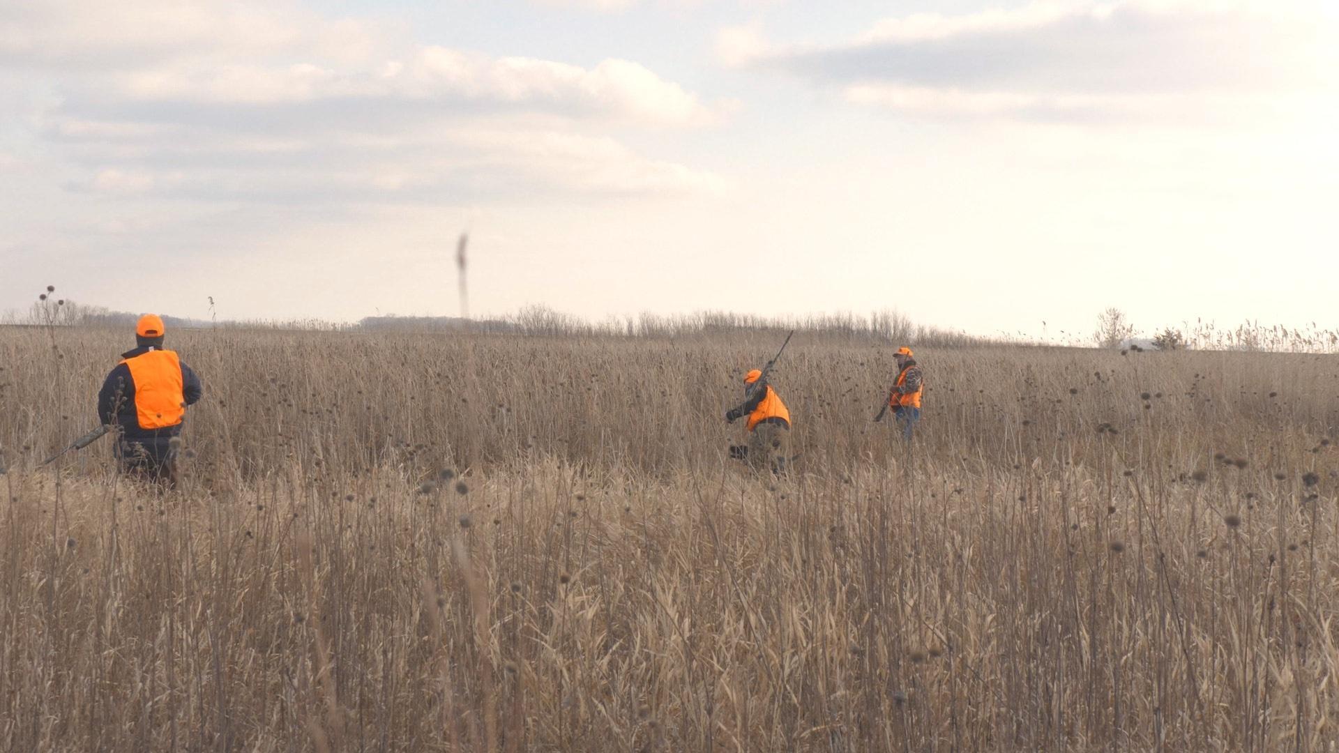 Follow a heart transplant recipient's pheasant hunt and MN Nongame Wildlife Program nears 50 years.