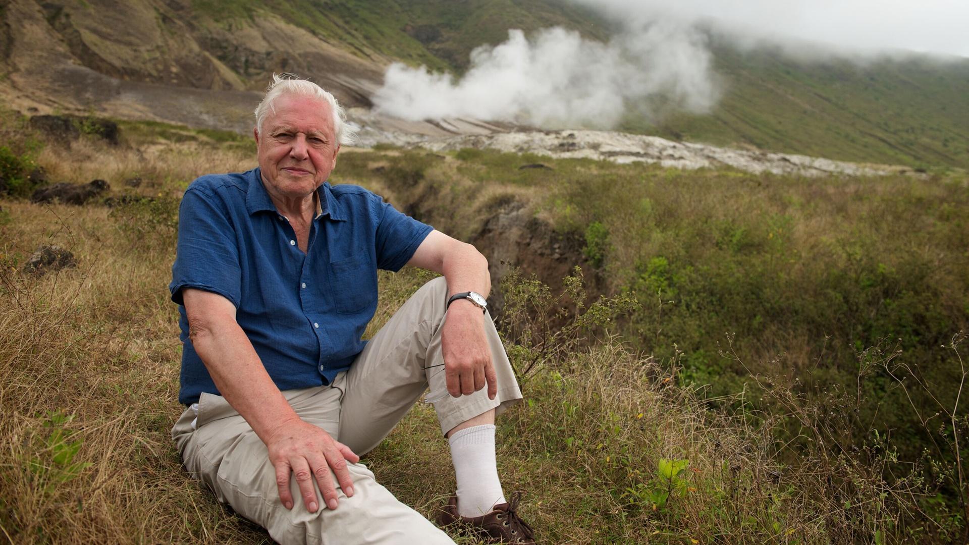 An intimate portrait of Sir David Attenborough’s life and career in natural history.