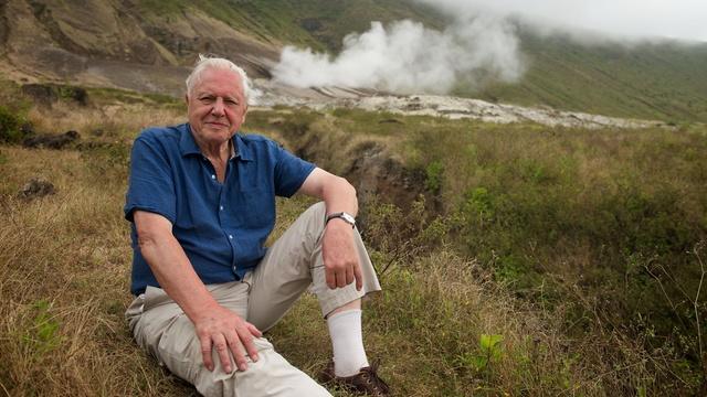 Nature | Attenborough's Life Journey