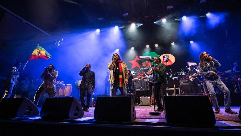 The Marley Brothers: The Legacy Concert Image