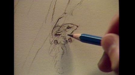 Video thumbnail: From The Archives Drawing from Nature: with Jim Arnosky: #4 Drawing Animals