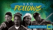 VSO Fellows