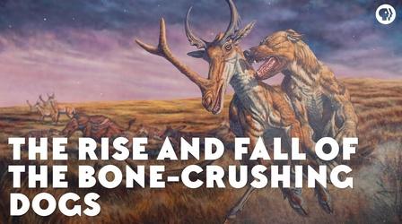Video thumbnail: Eons The Rise and Fall of the Bone-Crushing Dogs