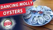 What Makes The Salt Line's Dancing Molly Oysters So Delicious?