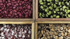 Video thumbnail: Farm to Fork Wyoming Seed Savers