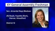 Sen. Amanda Mays Bledsoe (R) District 12