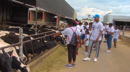 Video thumbnail: KTWU Sunflower Journeys 3207: It Grows in Kansas