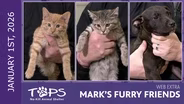 01/01/2026 | Bacon, Pancake, and Downy | Mark's Furry Friends Extra