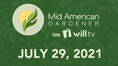 Video thumbnail: Mid-American Gardener July 29, 2021 - Mid-American Gardener